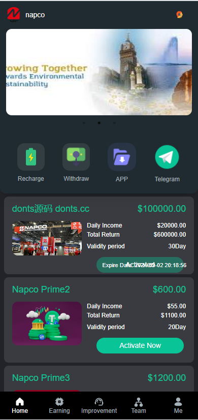 Napco海外投资理财源码/前端html+后端PHP