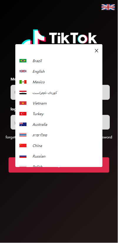 海外TIKTOK抢单刷单系统/多语言订单任务系统/打针重置全开源源码